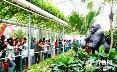 《棒子老虎鸡》的观后感大全
