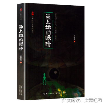 带上她的眼睛（新世纪作家文丛第二辑）读后感精选