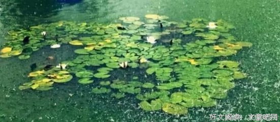 关于委曲求全的名言