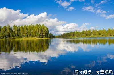 《相亲结婚》影评摘抄