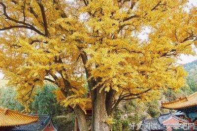我多她是来孩个想我大！句子