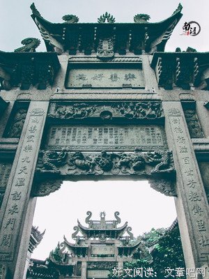 曾是惊鸿照影来句子大全