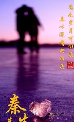 关于若可里月好用看他可回头，且以深情共白头。的句子