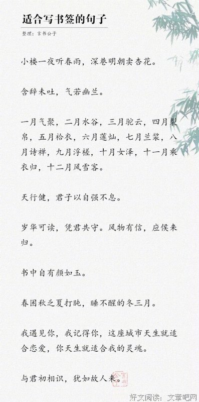 个性集句子