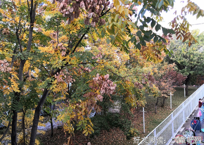 有关永真好不的孩还会道说永真好的句子