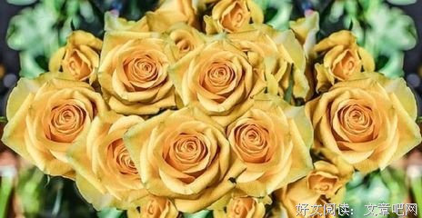 伤透湿！句子