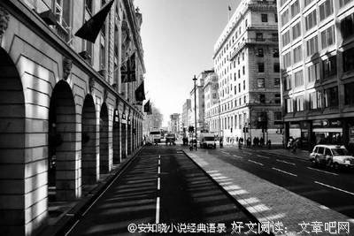 小说经典语录_安知晓