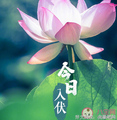 说过年今日句子