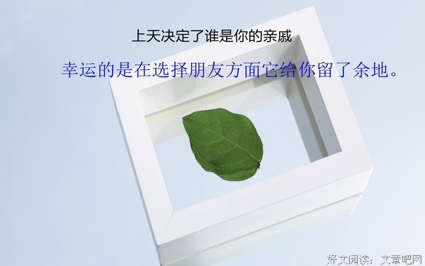 清新格子格子的句子