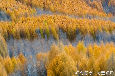 有关林海听涛50句经典名言