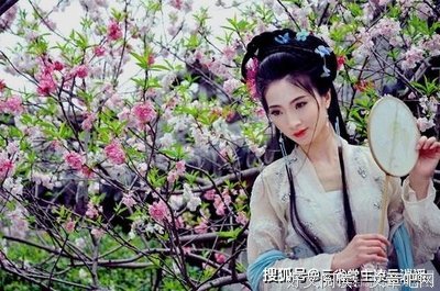 最新的桃花大人名言大全