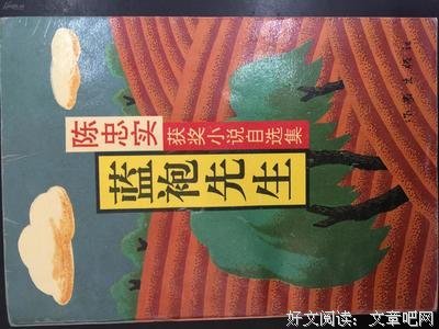 蓝袍先生读后感1000字