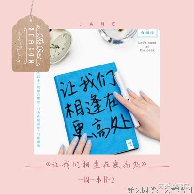 让我们相逢在更高处读后感精选