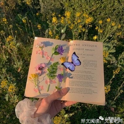 关于摇摆不定的语句