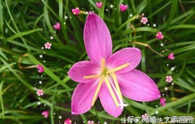 管理学(第13版)的读后感大全