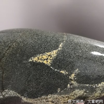 《孤鸟》经典读后感有感