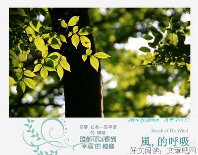 《风的第一声呼吸》经典观后感有感