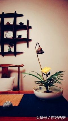 《性之道》的观后感大全