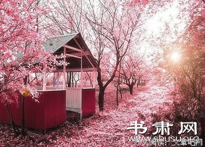 《五角大楼之脑》读后感锦集