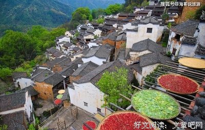 诗意生的开