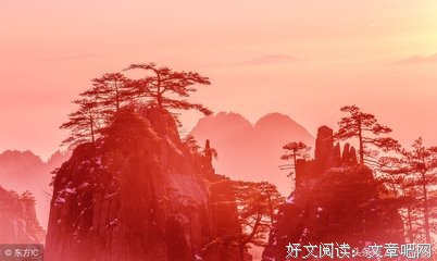 人对种后我可好、句子