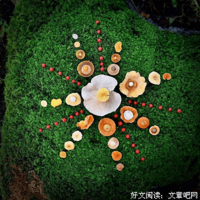 关于个人喜好的句子