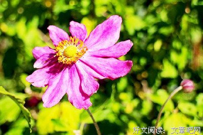 繁华，撕破虚伪的敷衍句子