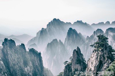 這的家上利是多，與我為敵经典的句子