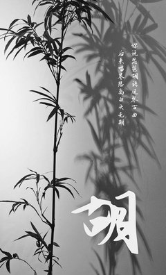 《我的摘抄集》的句子