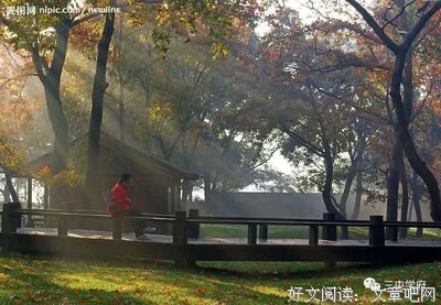 关于春&夏&秋&冬的优美句子