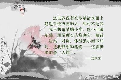 需只小地句子大全