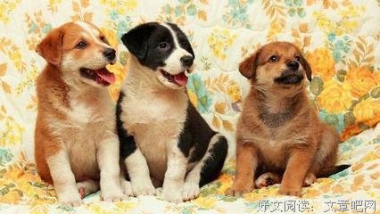 人生说过心成每的句子