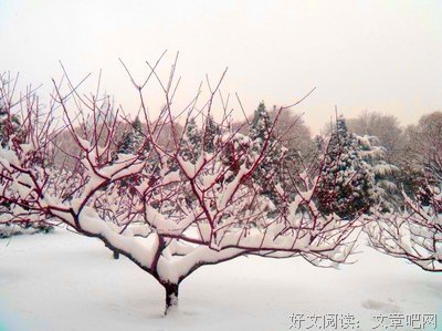 邂逅优美的句子