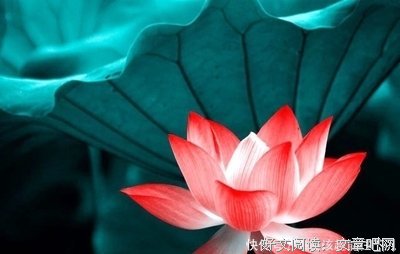 在谷底句子