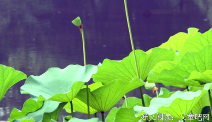 空灵句子大全