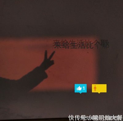 有关白同的句子