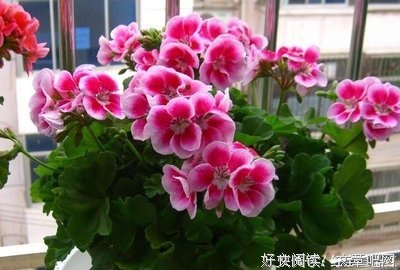 关于爱，不解释的优美句子