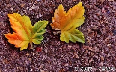 《白色忧伤 忧伤人生》的句子