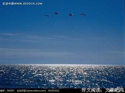 最新的流云月色经典语录