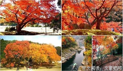 淡路帆希名言