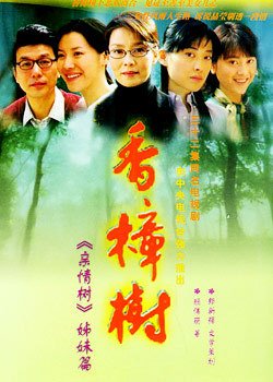 《香樟树》经典影评集