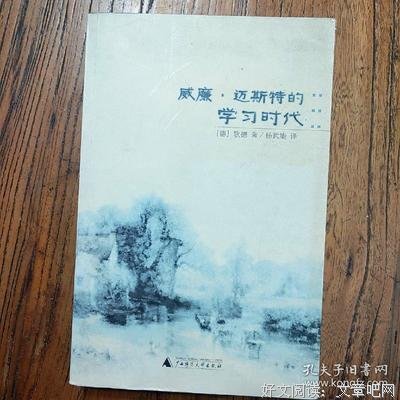 威廉·迈斯特的学习时代读后感精选