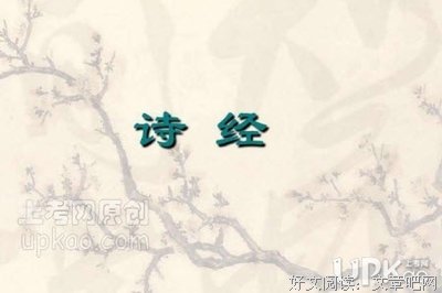 放熊归山读后感1000字