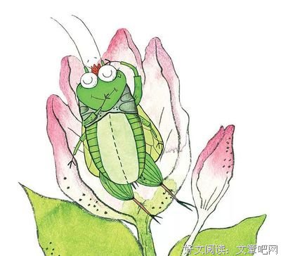 《我的图画书论》的读后感大全