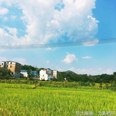 《山居岁月》读后感摘抄