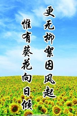 风起云涌格言警句