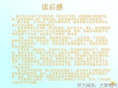 约定读后感100字