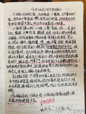 《约定》的读后感大全