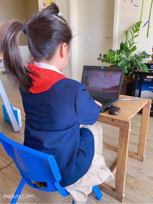 《凤凰》观后感100字