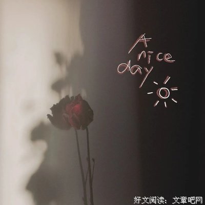 描写无人问津的语句摘抄